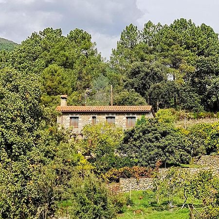 Casa Rural En Candeleda Con Piscina Y Un Maravilloso Jardin Eksteriør billede