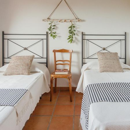 Casa Rural En Candeleda Con Piscina Y Un Maravilloso Jardin Eksteriør billede