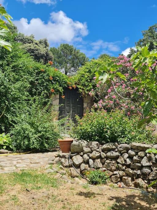 Casa Rural En Candeleda Con Piscina Y Un Maravilloso Jardin Eksteriør billede