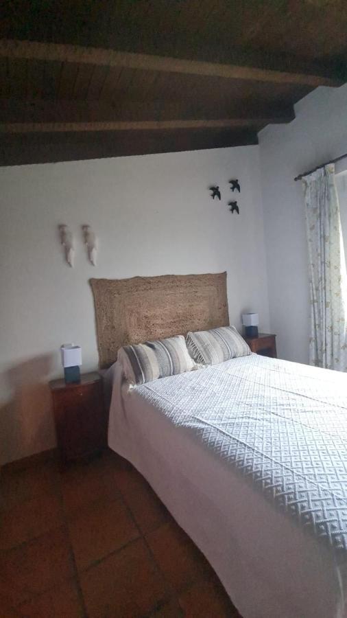 Casa Rural En Candeleda Con Piscina Y Un Maravilloso Jardin Eksteriør billede