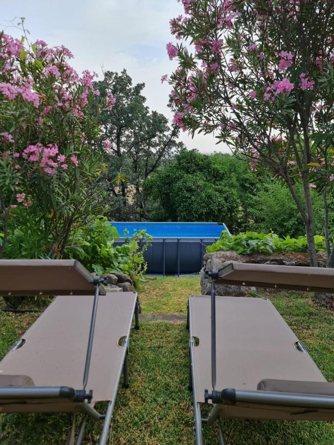 Casa Rural En Candeleda Con Piscina Y Un Maravilloso Jardin Eksteriør billede