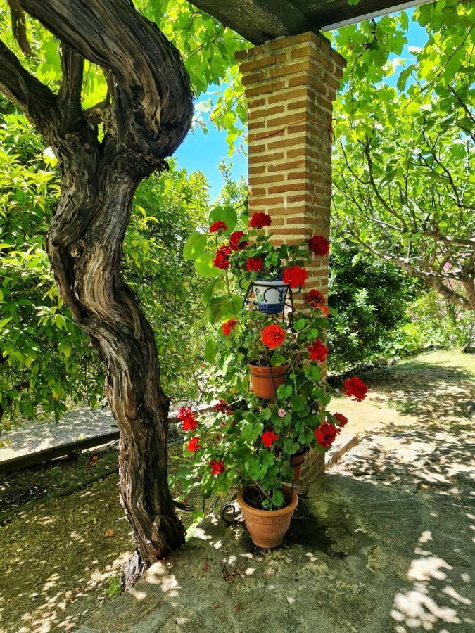 Casa Rural En Candeleda Con Piscina Y Un Maravilloso Jardin Eksteriør billede