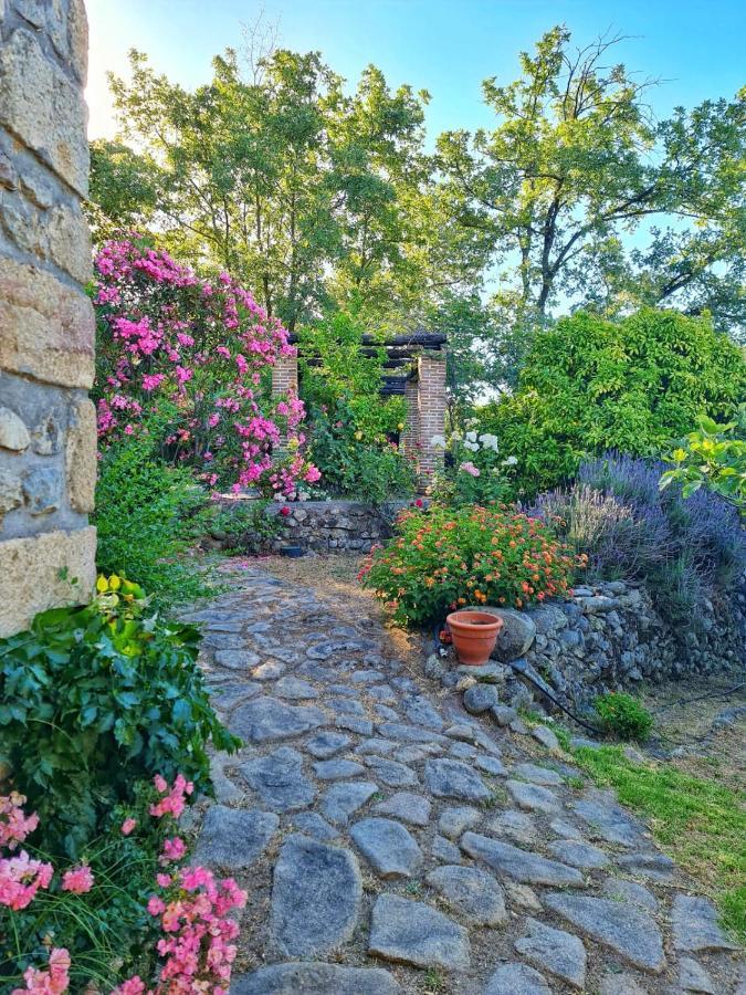 Casa Rural En Candeleda Con Piscina Y Un Maravilloso Jardin Eksteriør billede