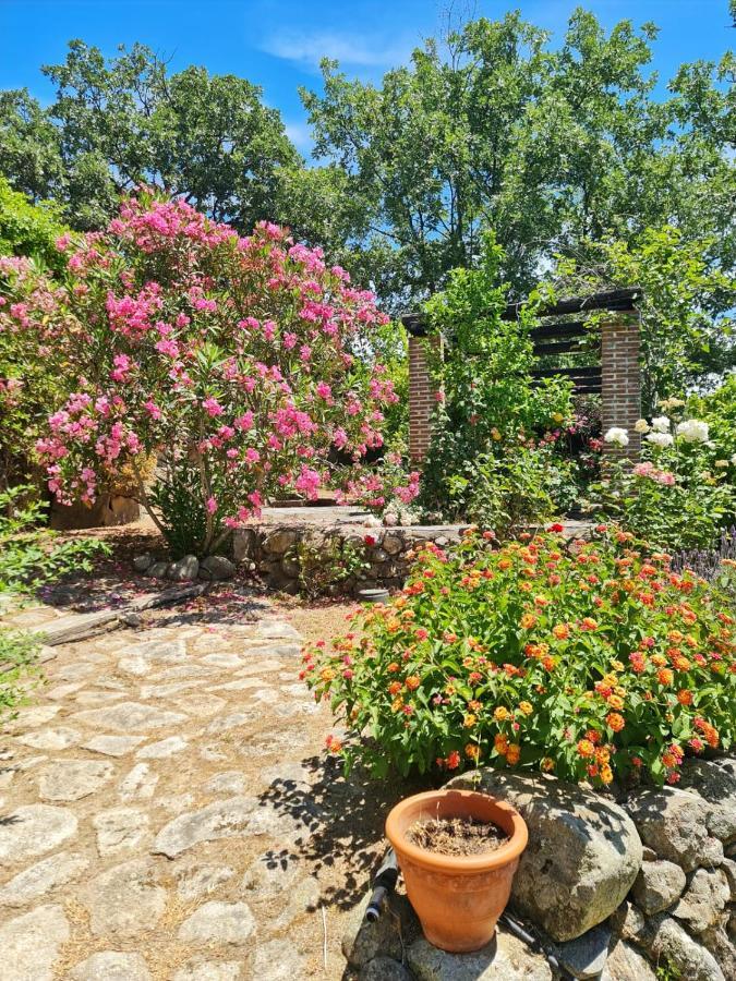 Casa Rural En Candeleda Con Piscina Y Un Maravilloso Jardin Eksteriør billede
