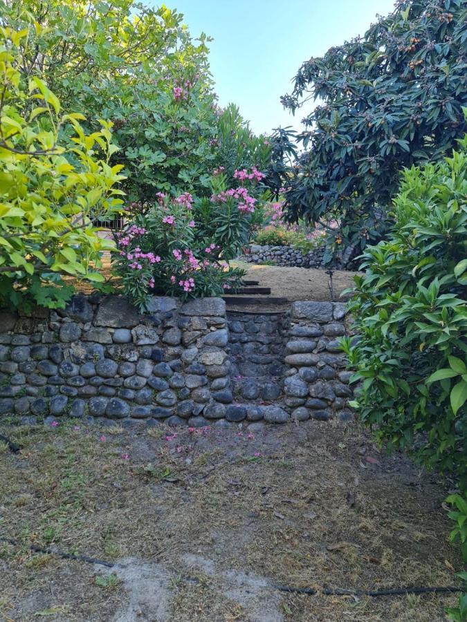 Casa Rural En Candeleda Con Piscina Y Un Maravilloso Jardin Eksteriør billede