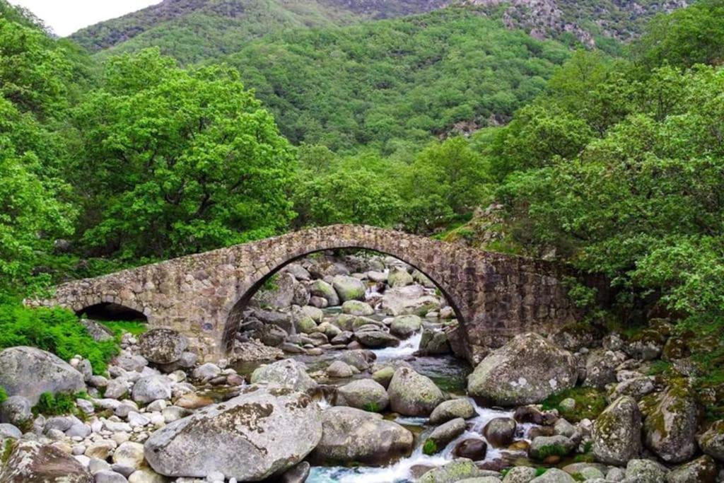 Casa Rural En Candeleda Con Piscina Y Un Maravilloso Jardin Eksteriør billede