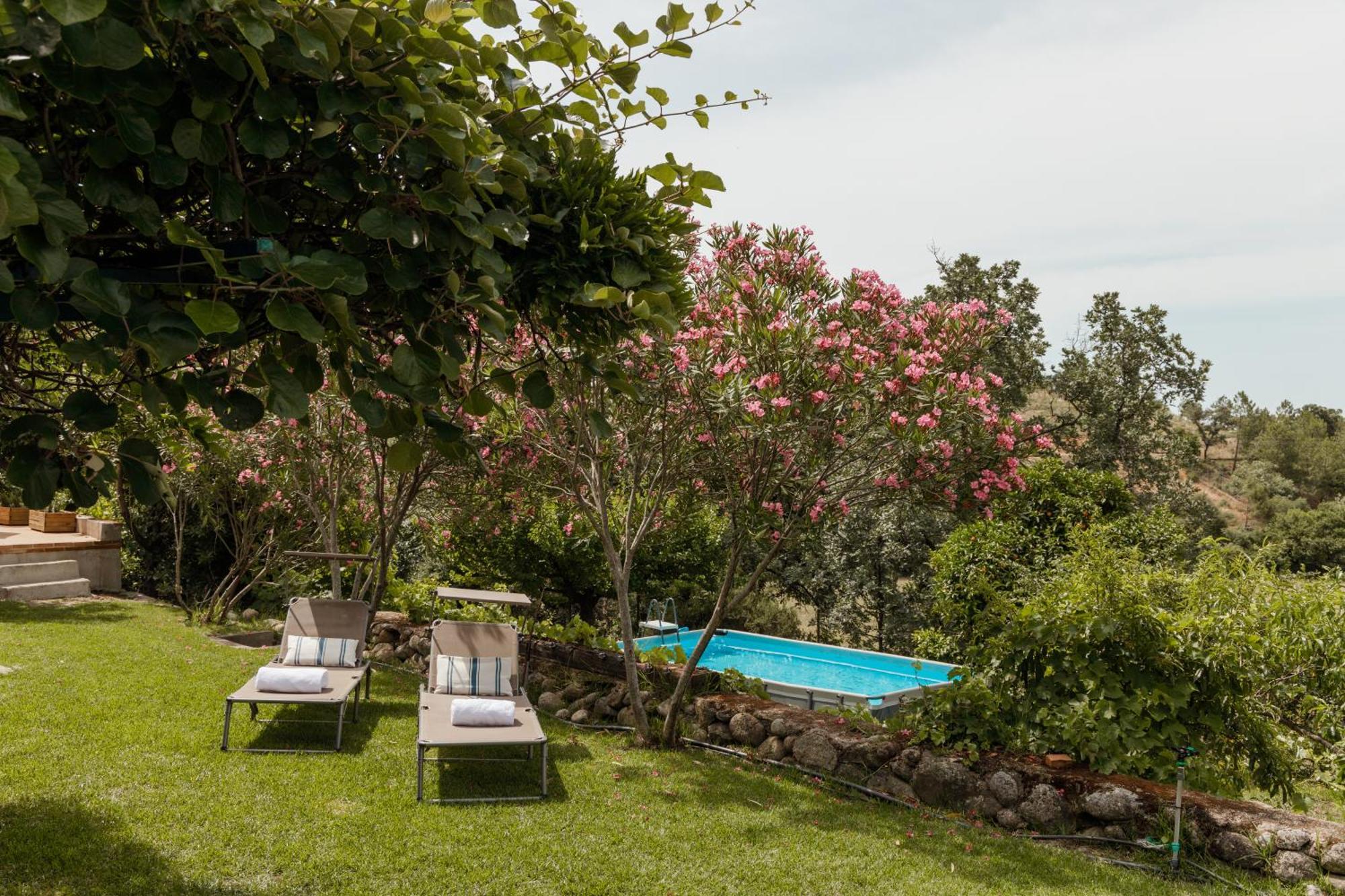 Casa Rural En Candeleda Con Piscina Y Un Maravilloso Jardin Eksteriør billede