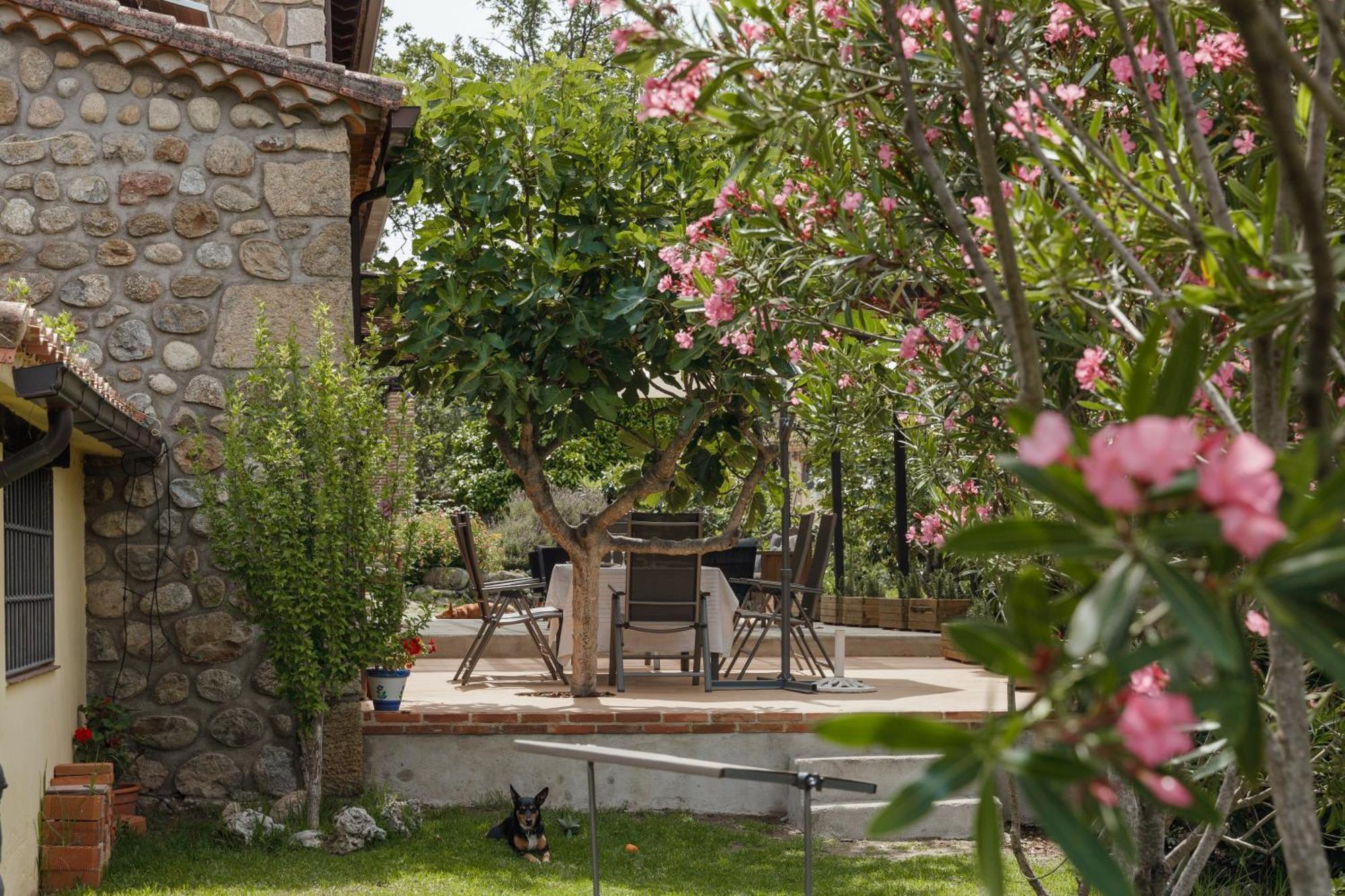 Casa Rural En Candeleda Con Piscina Y Un Maravilloso Jardin Eksteriør billede